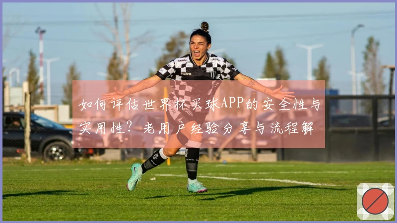 如何评估世界杯买球APP的安全性与实用性？老用户经验分享与流程解析