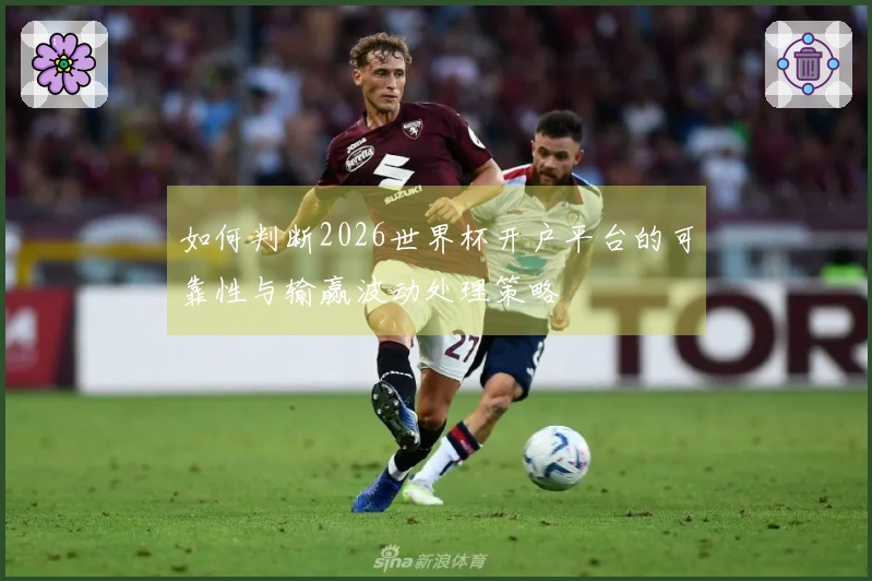 如何判断2026世界杯开户平台的可靠性与输赢波动处理策略