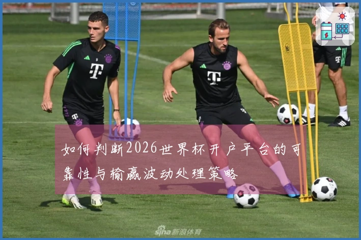如何判断2026世界杯开户平台的可靠性与输赢波动处理策略