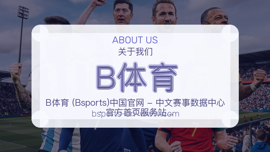 B体育官方平台介绍图片